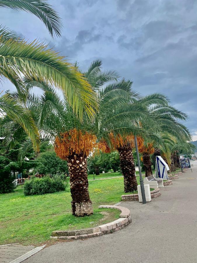 Apartman Ana Zeleni Pojas Bar Exteriér fotografie