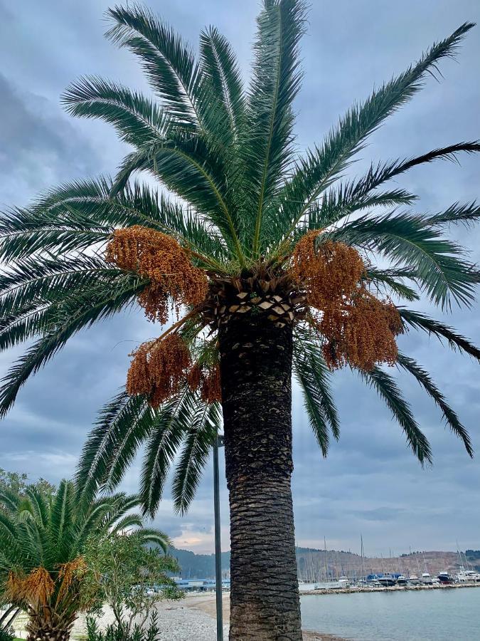 Apartman Ana Zeleni Pojas Bar Exteriér fotografie